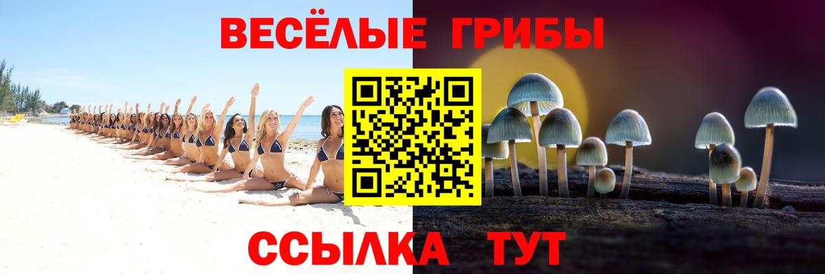 Псилоцибиновые грибы мухоморы  Вход с VPN  Барнаул 